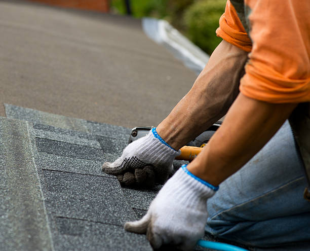 Best Roof Repair Services  in Winchester, MO
